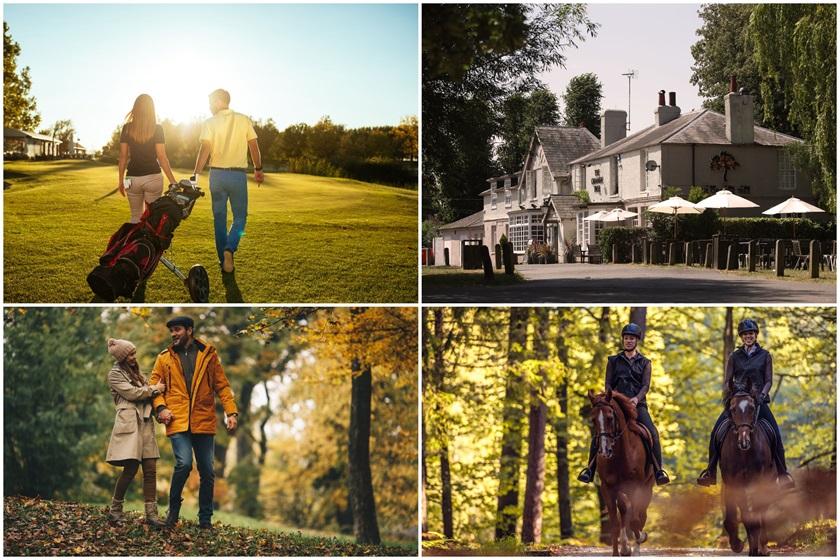 A collage of pictures of people riding horses in Ridgeway Park