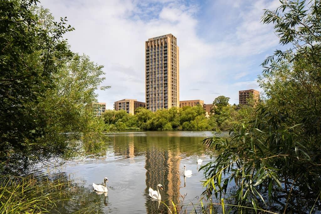 Swans swimming in a lake with tall buildings in the background at Hendon Waterside Homes